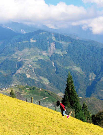 ������Ȼ���