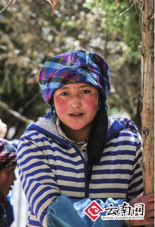 林芝服装动画图片 travel.yunnan.cn 宽313x456高