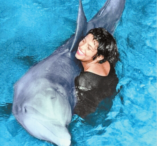 海豚的爱。