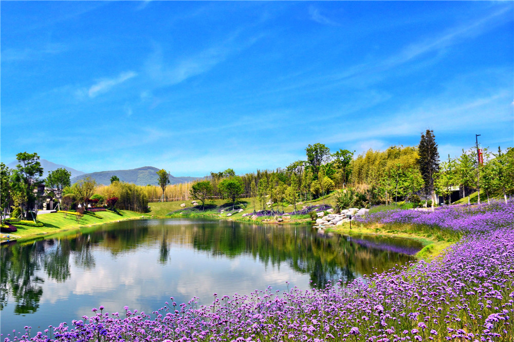 腾冲雅居乐栖花岭图片