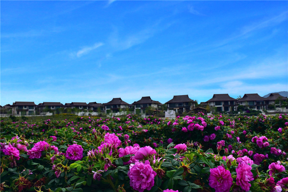 腾冲雅居乐栖花岭图片