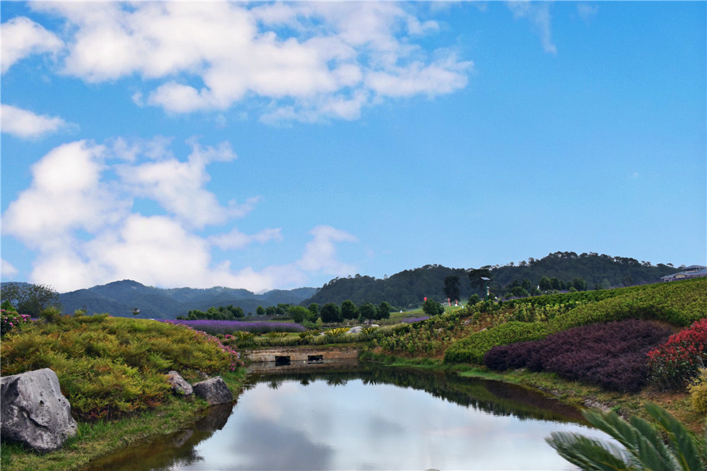 腾冲雅居乐栖花岭图片